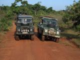 Yala National Park